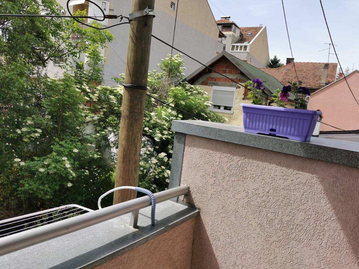 Apartmani Milica Kruševac Kültér fotó